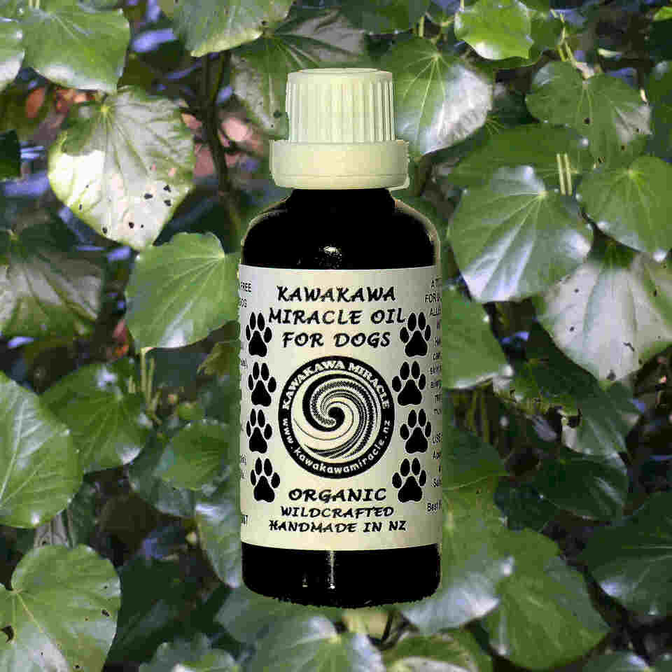 Organic Kawakawa Miracle Oil for Dogs - 50ml
