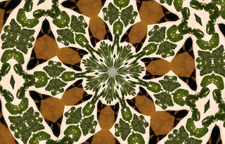 Magical Kawakawa Leaves